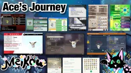 Ace’s Journey.webp